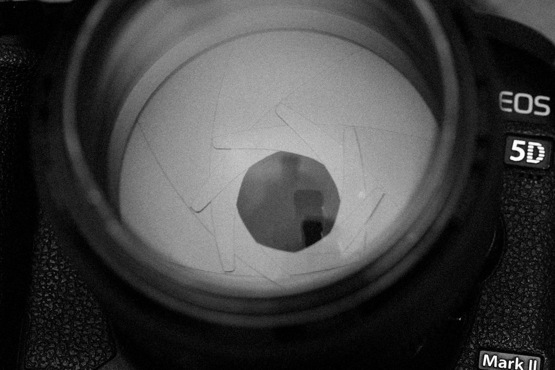 Best Lubricants for Mechanical Cameras in 2026 - Dutch|Thrift